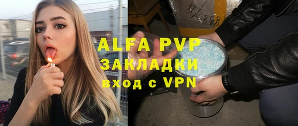 индика Володарск