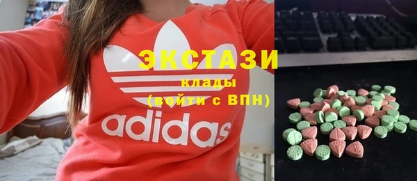 индика Володарск