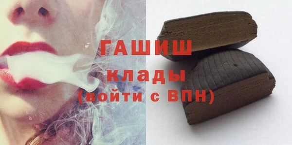 индика Володарск