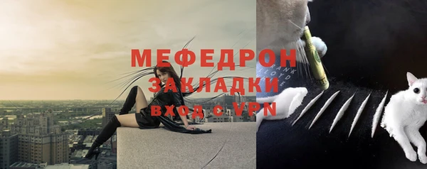 индика Володарск