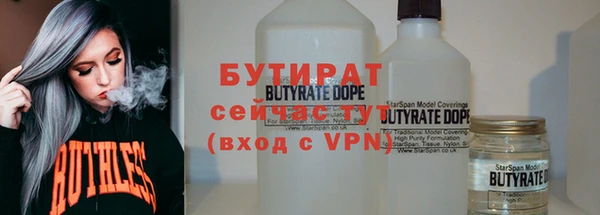 индика Володарск