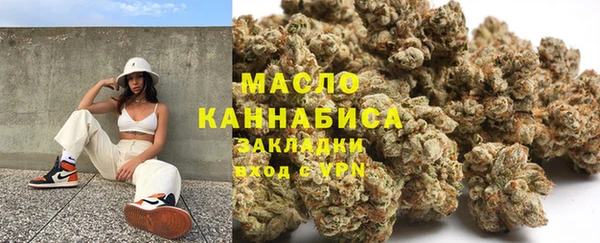 индика Володарск