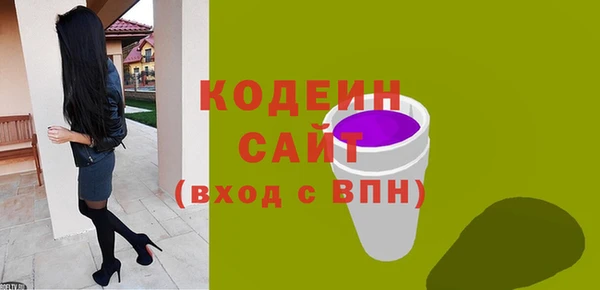 индика Володарск