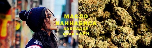 индика Володарск