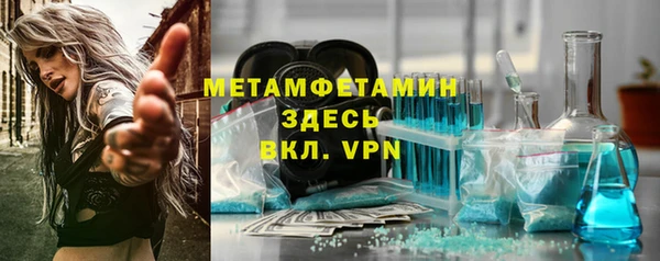 индика Володарск