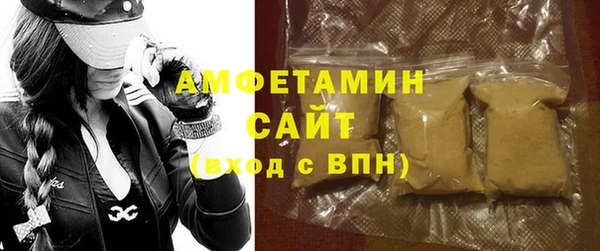 индика Володарск