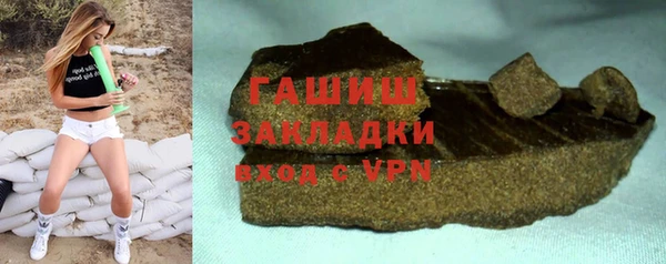 индика Володарск