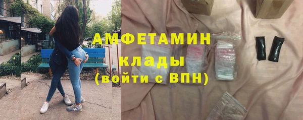 индика Володарск